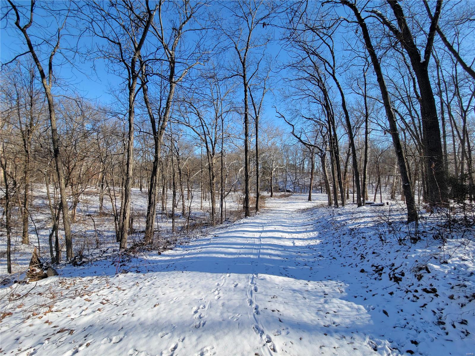 242 Gerding Road Troy, MO 63379 - Photo 78 of 99