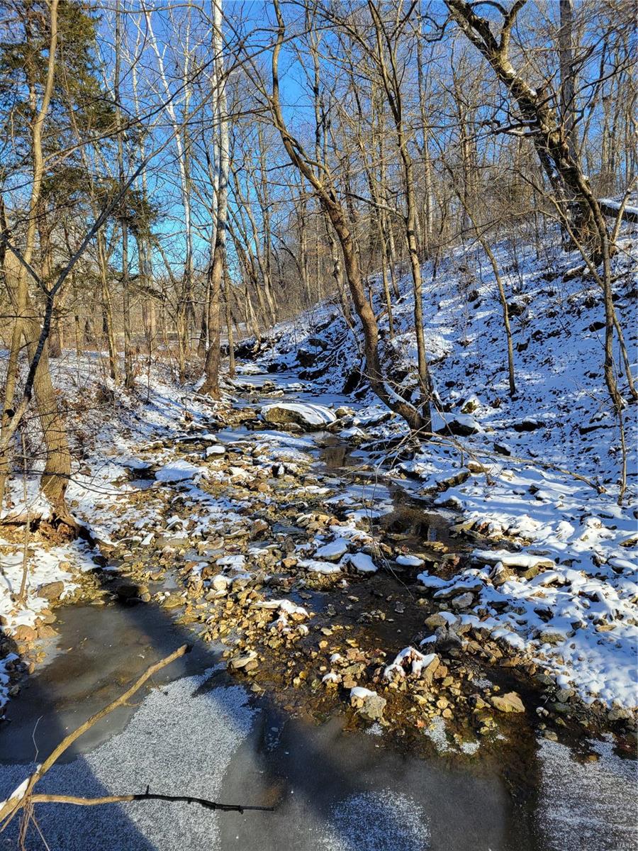 242 Gerding Road Troy, MO 63379 - Photo 79 of 99