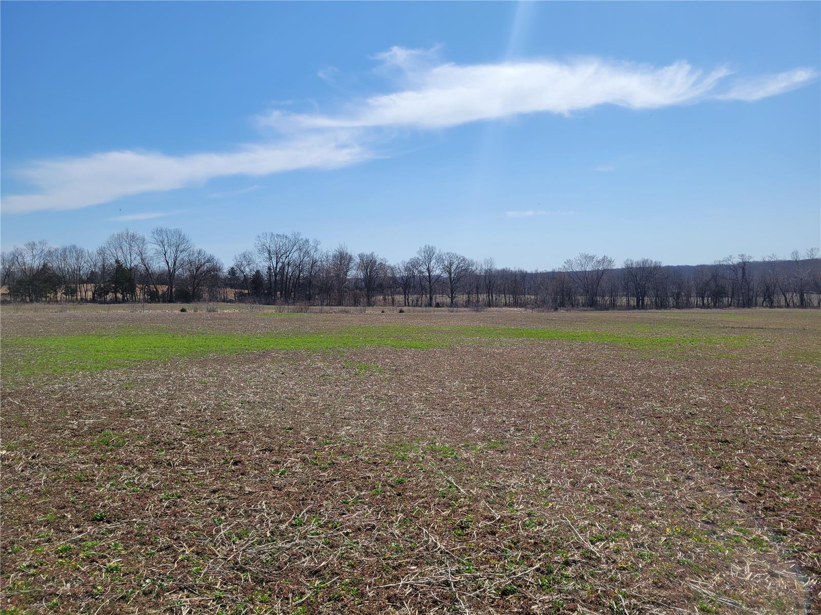 242 Gerding Road Troy, MO 63379 - Photo 87 of 99