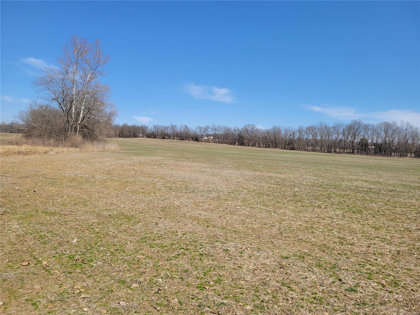 242 Gerding Road Troy, MO 63379 - Photo 91 of 99