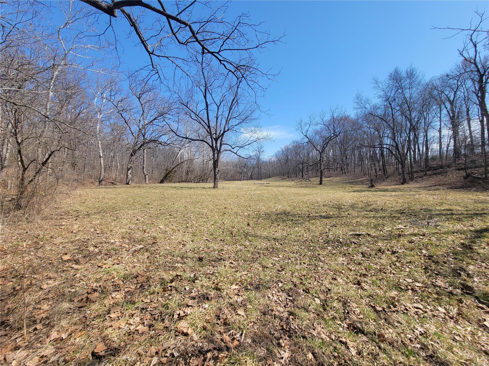 242 Gerding Road Troy, MO 63379 - Photo 93 of 99