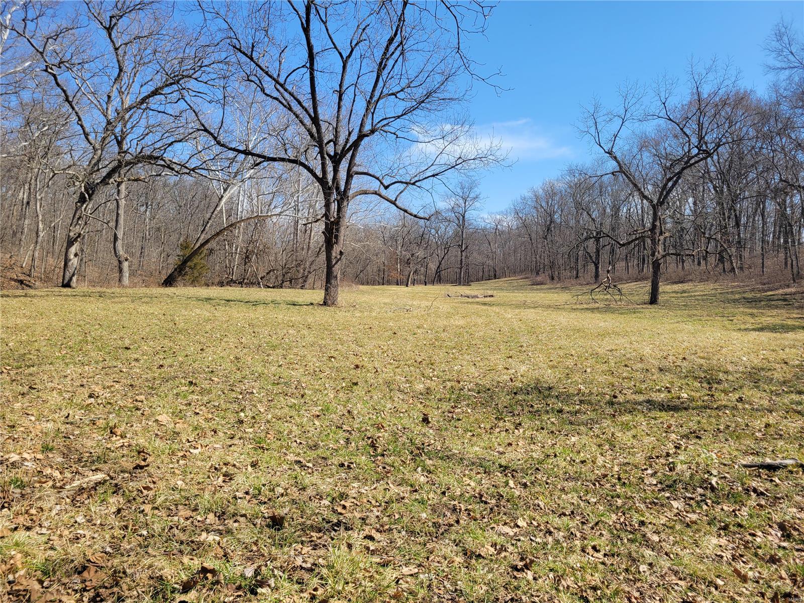 242 Gerding Road Troy, MO 63379 - Photo 94 of 99