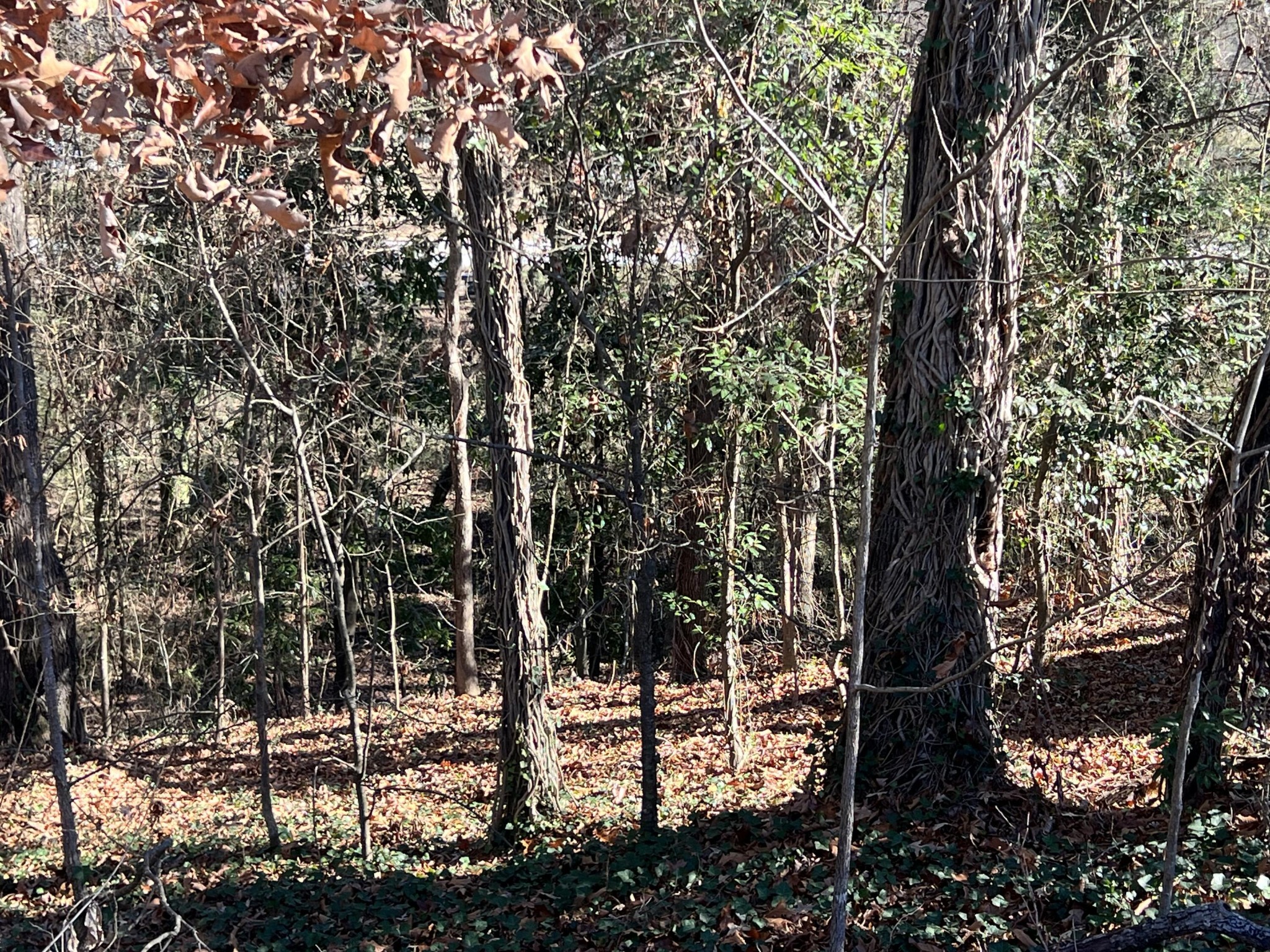 0 Northeast Highland Circle Rome, GA 30161 - Photo 2 of 3 Gallery Image 2
