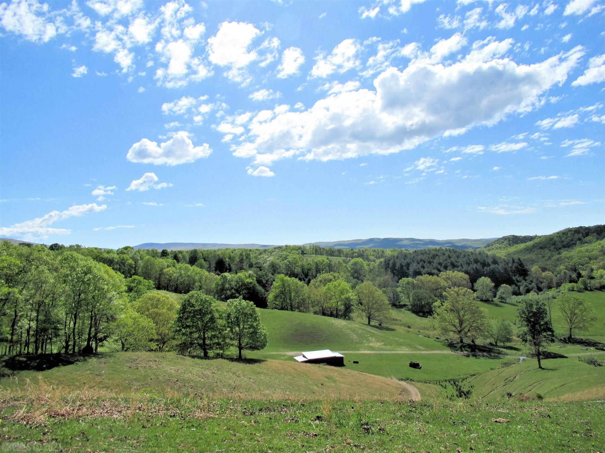 8590 Wilderness Road Bland, VA 24315 - Photo 29 of 39 Gallery Image 29