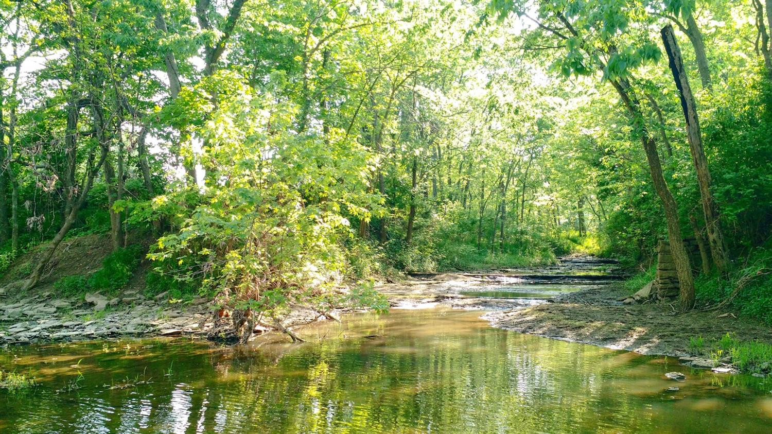 964 Galloway Road Stamping Ground, KY 40379 - Photo 20 of 53 Photo 20
