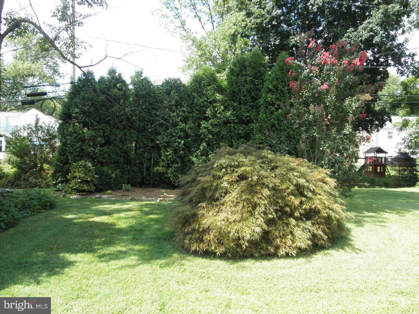 590 Wanamaker Road Jenkintown, PA 19046 - Photo 22 of 25 Back Yard