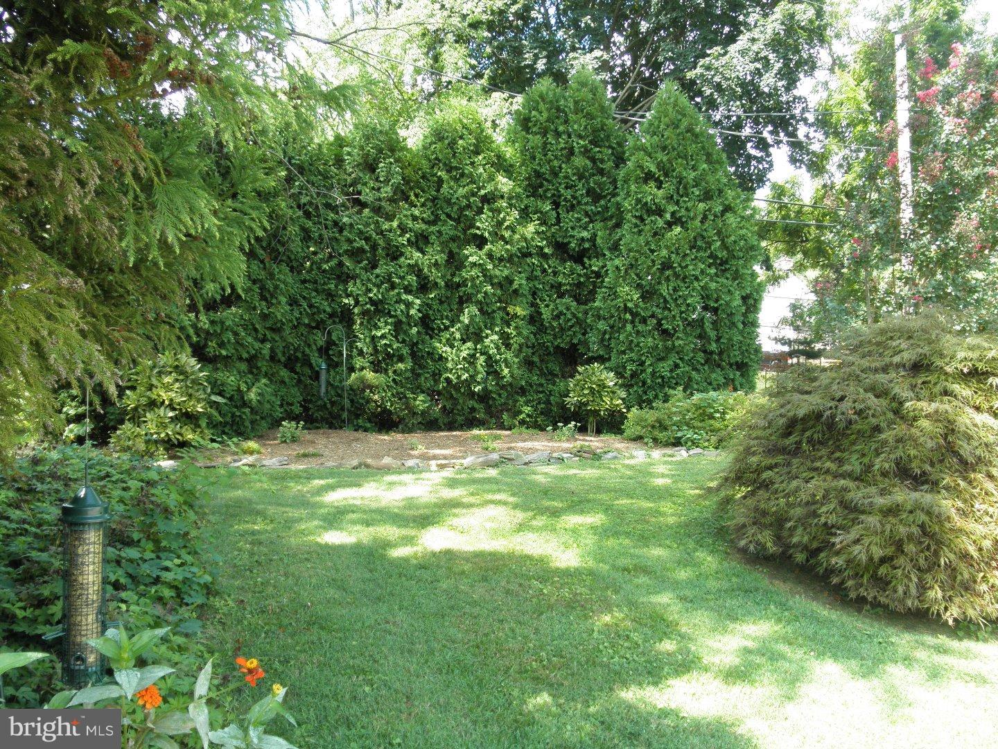 590 Wanamaker Road Jenkintown, PA 19046 - Photo 23 of 25 Back Yard