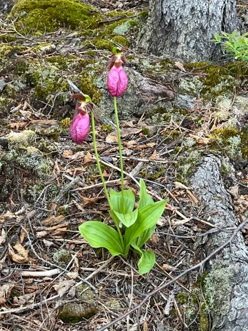 $949,000 | 16 Carlson Road, Grand Marais, MN 55604