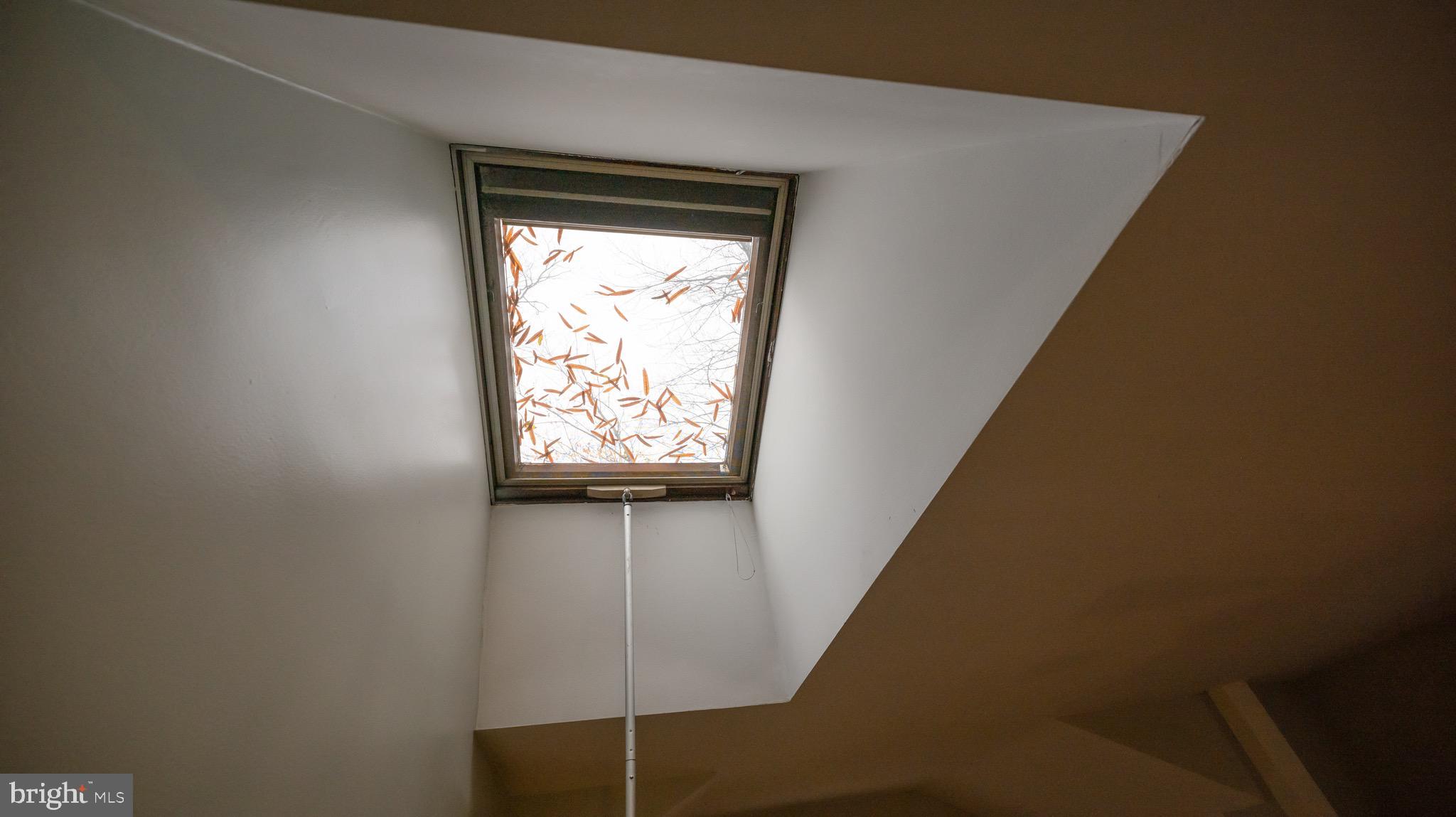 411 Silver Spring Avenue Silver Spring, MD 20910 - Photo 13 of 25 Skylight