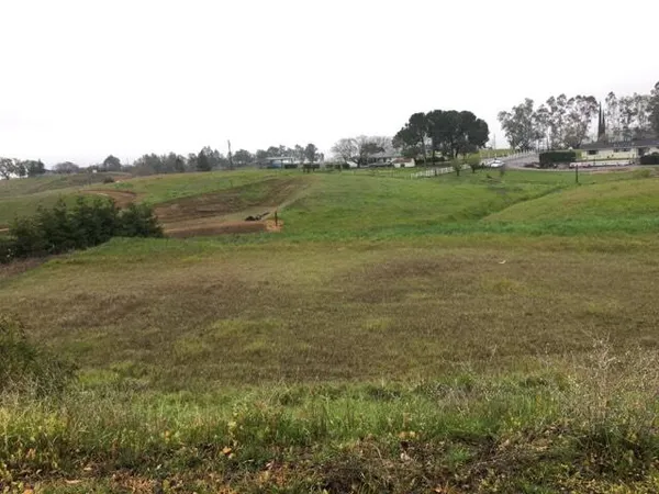 a view of a field with an trees