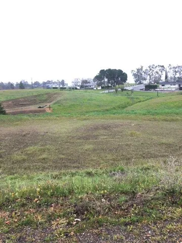 a view of a big yard with plants and large trees