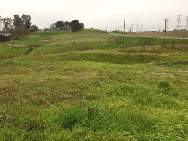 a view of a field with a big yard