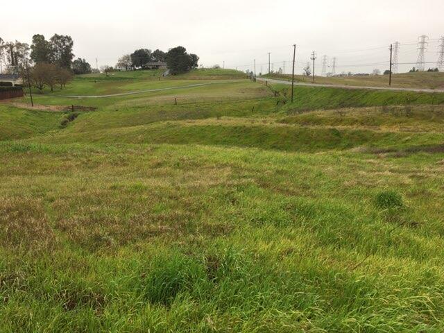 Lot D Aloe Place Red Bluff, CA 96080 - Photo 4 of 4 a view of a field with a big yard