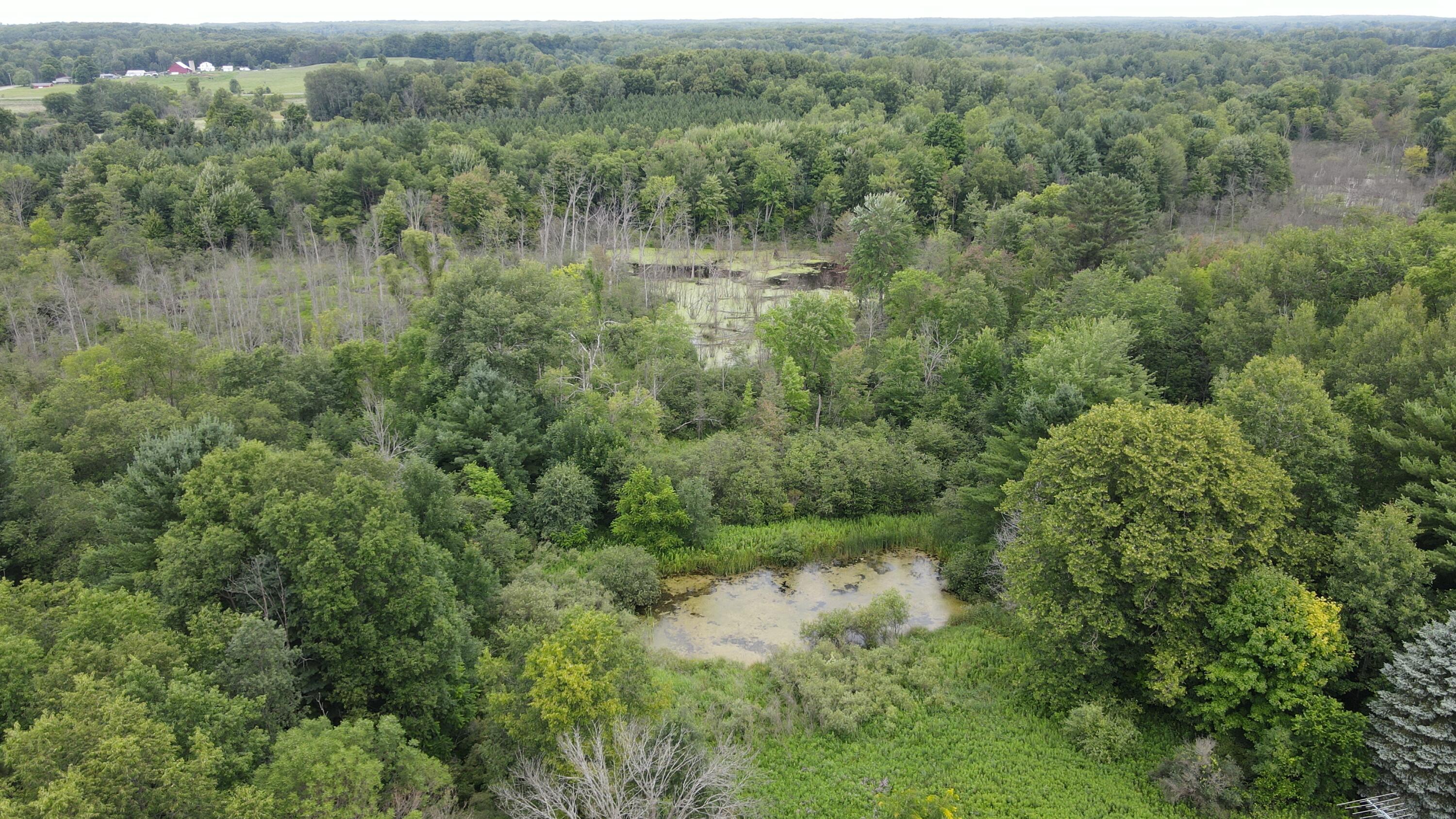 16822 7 Mile Road Stanwood, MI 49346 - Photo 33 of 62 DJI_0515