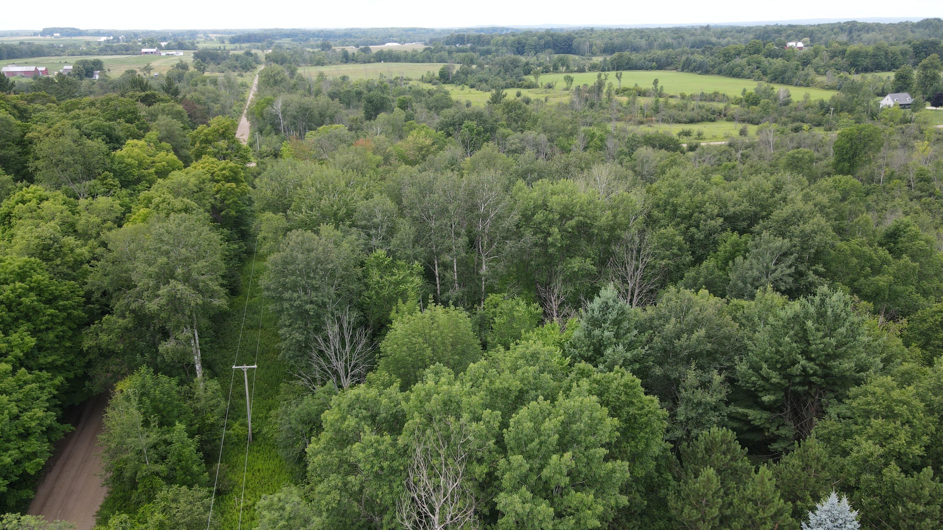 16822 7 Mile Road Stanwood, MI 49346 - Photo 34 of 62 DJI_0517