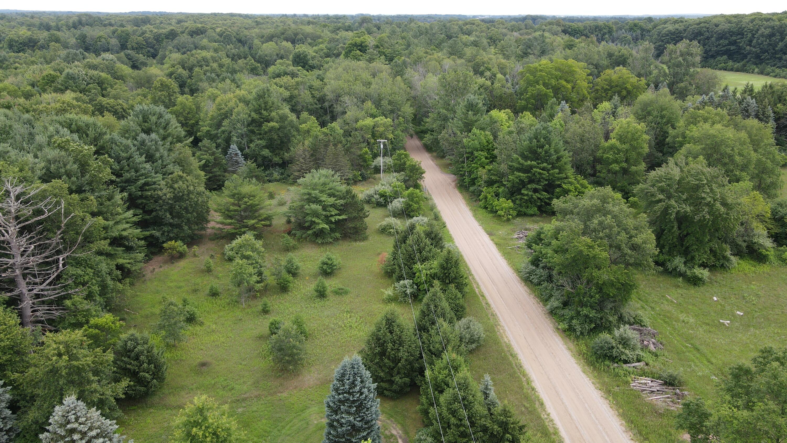 16822 7 Mile Road Stanwood, MI 49346 - Photo 37 of 62 DJI_0520
