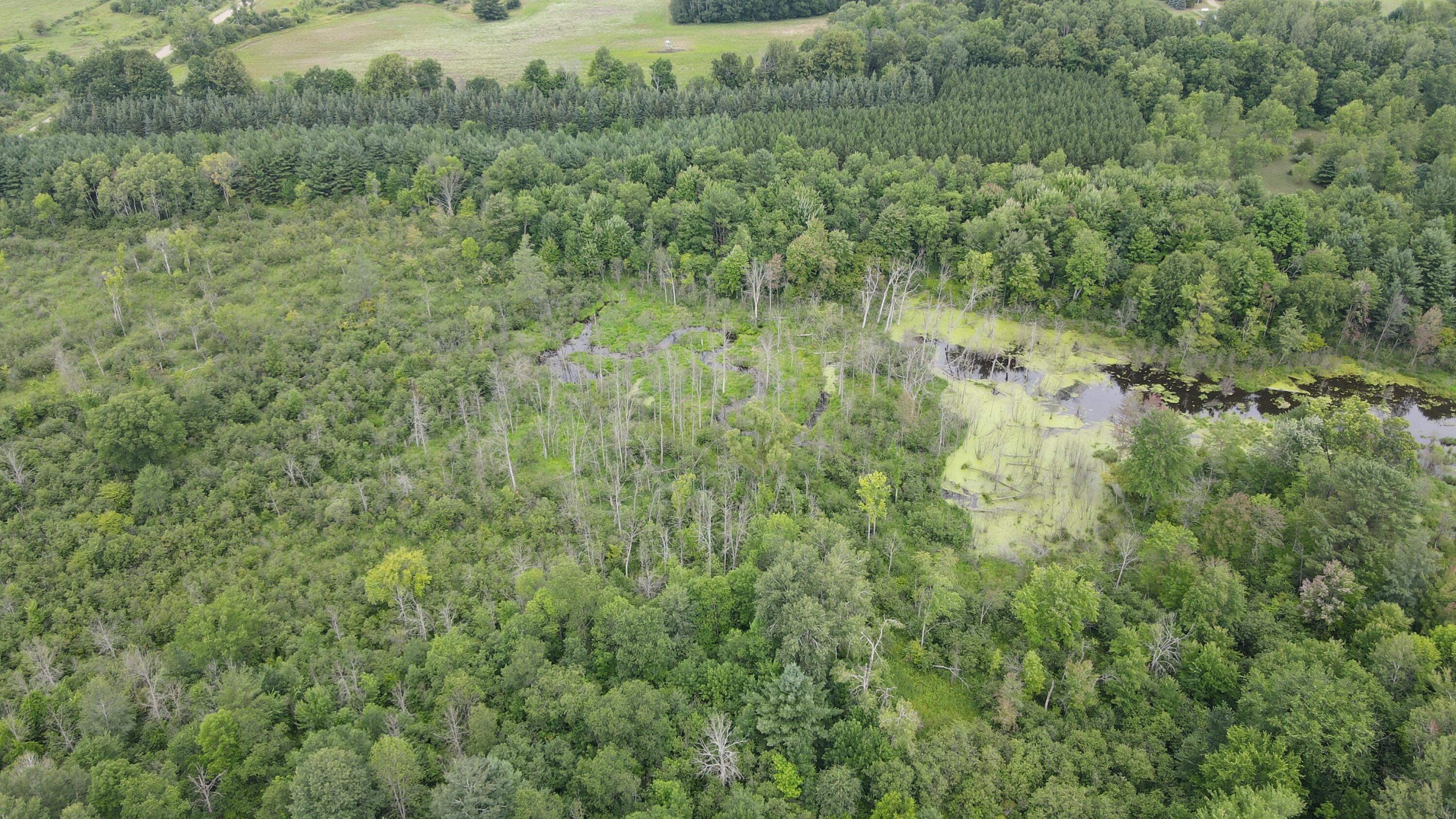 16822 7 Mile Road Stanwood, MI 49346 - Photo 40 of 62 DJI_0523