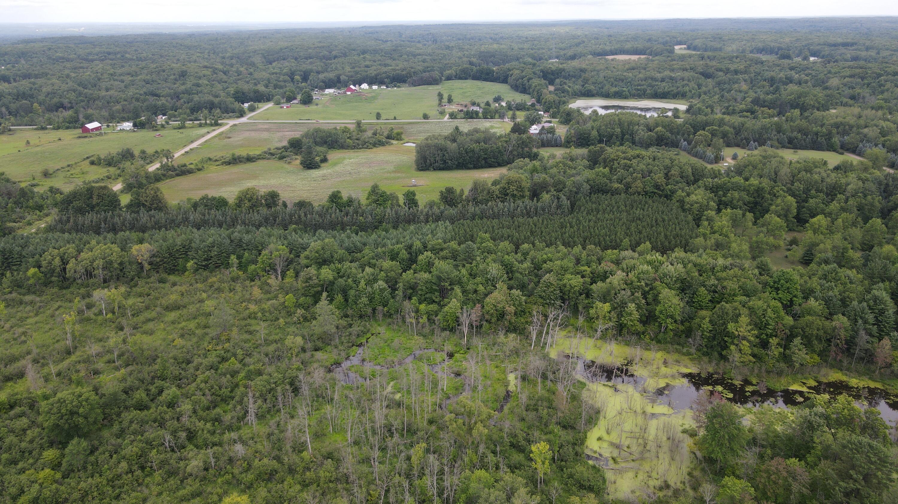 16822 7 Mile Road Stanwood, MI 49346 - Photo 41 of 62 DJI_0524