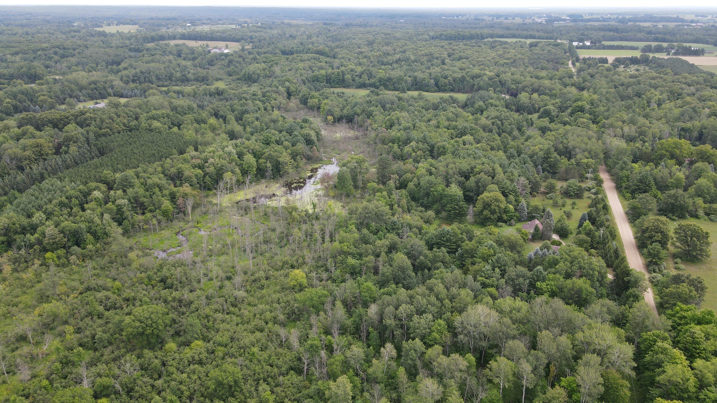 16822 7 Mile Road Stanwood, MI 49346 - Photo 42 of 62 DJI_0525