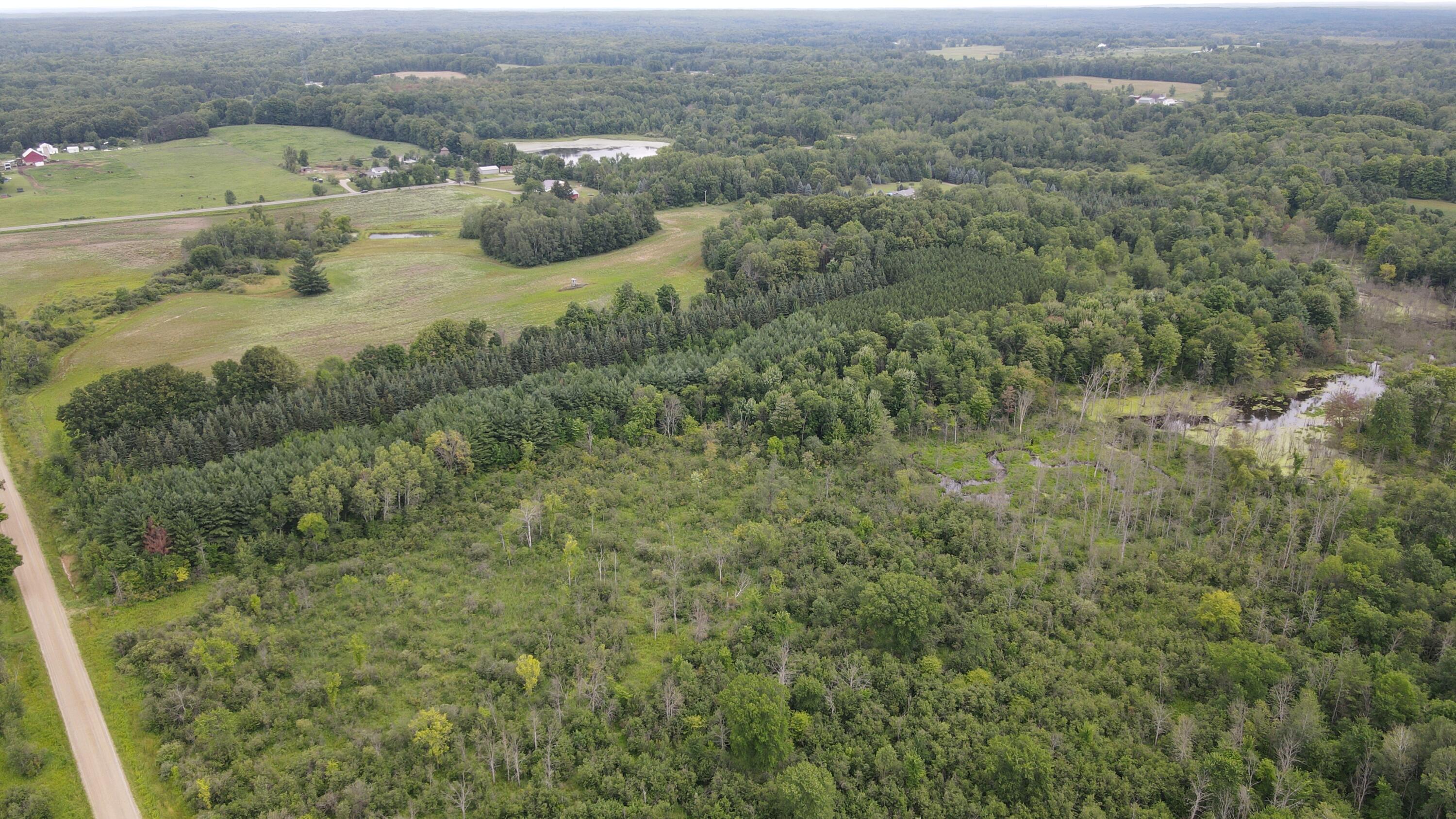 16822 7 Mile Road Stanwood, MI 49346 - Photo 43 of 62 DJI_0526