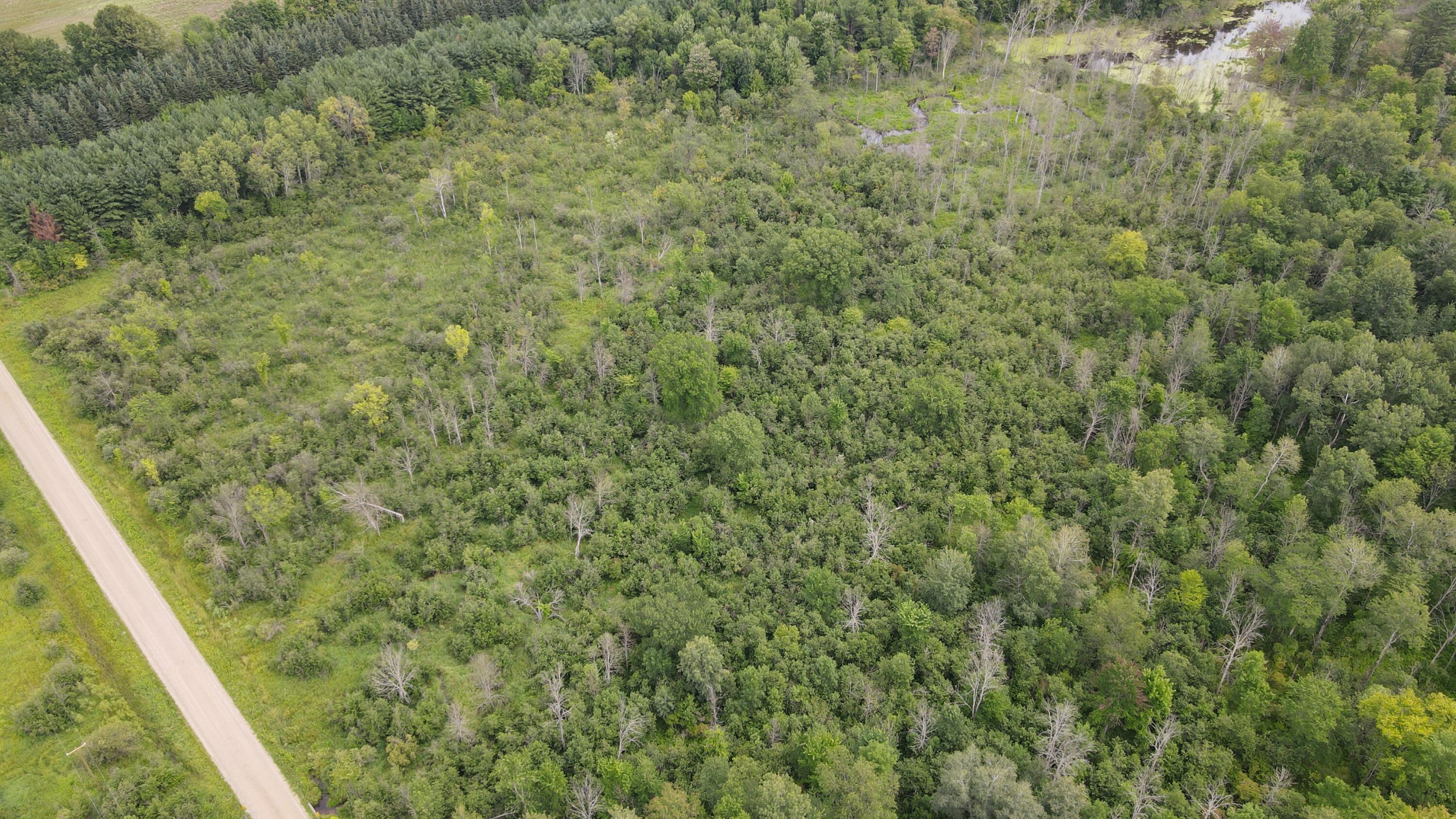 16822 7 Mile Road Stanwood, MI 49346 - Photo 44 of 62 DJI_0527