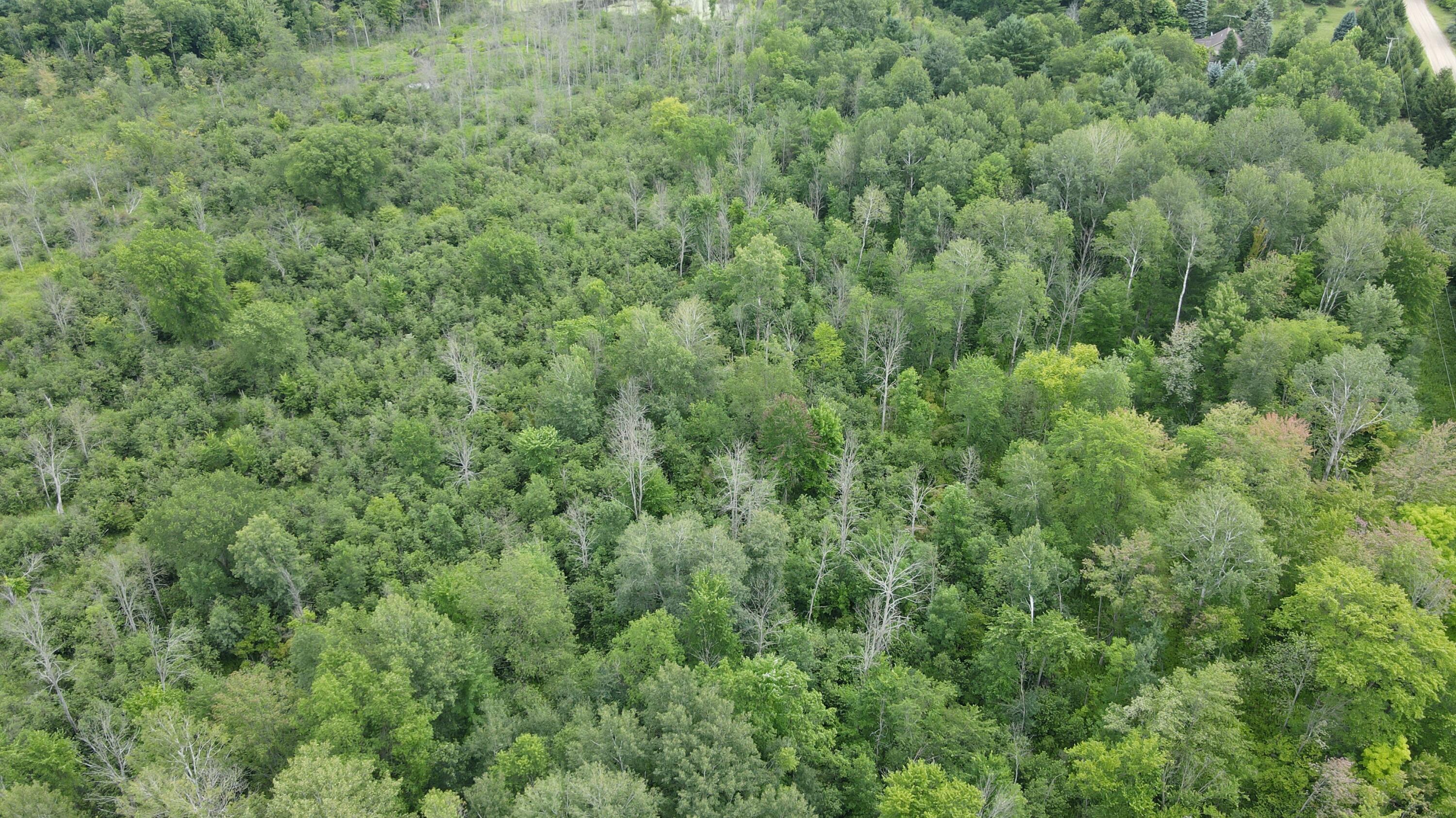 16822 7 Mile Road Stanwood, MI 49346 - Photo 45 of 62 DJI_0528