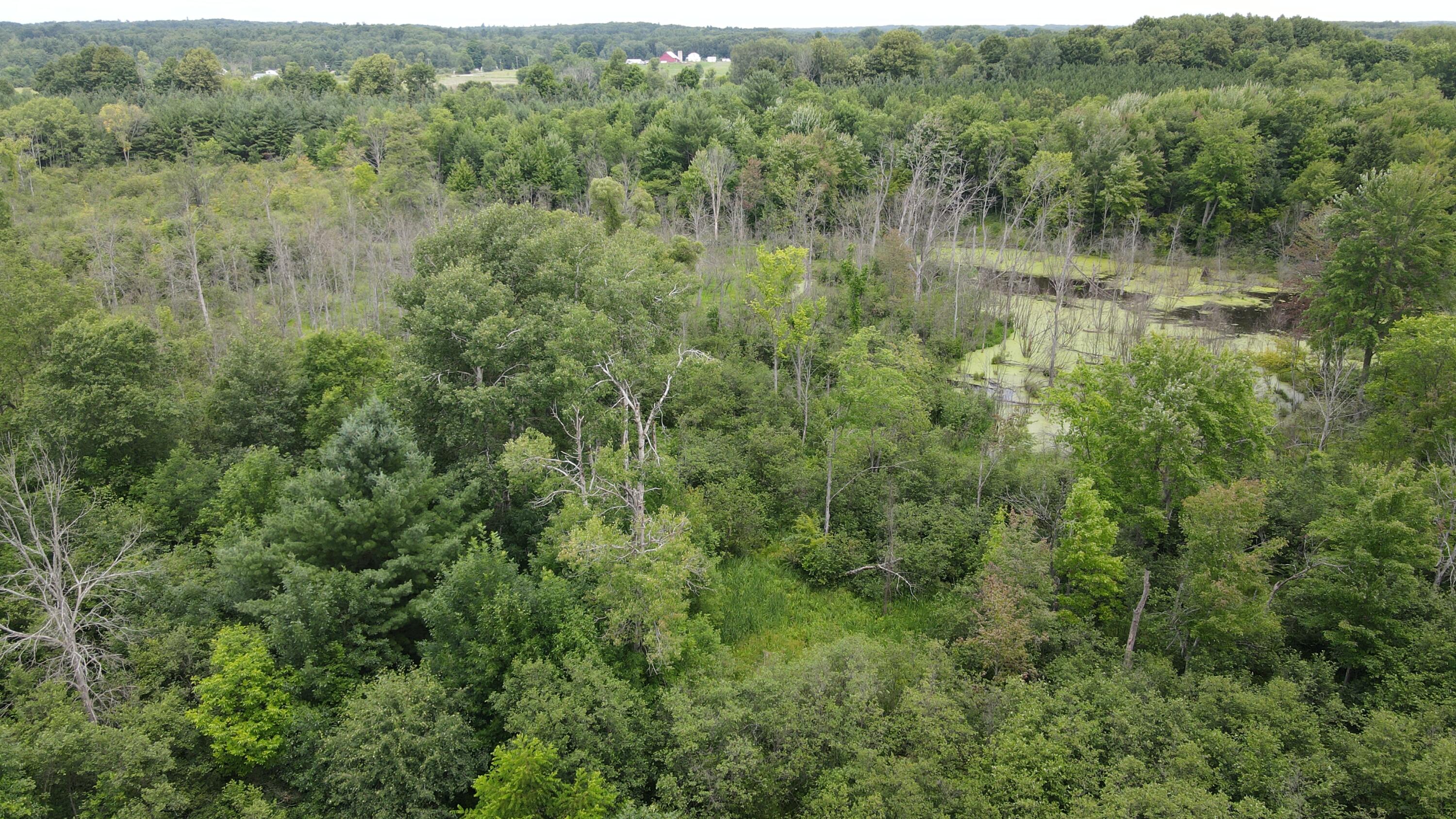 16822 7 Mile Road Stanwood, MI 49346 - Photo 53 of 62 DJI_0539