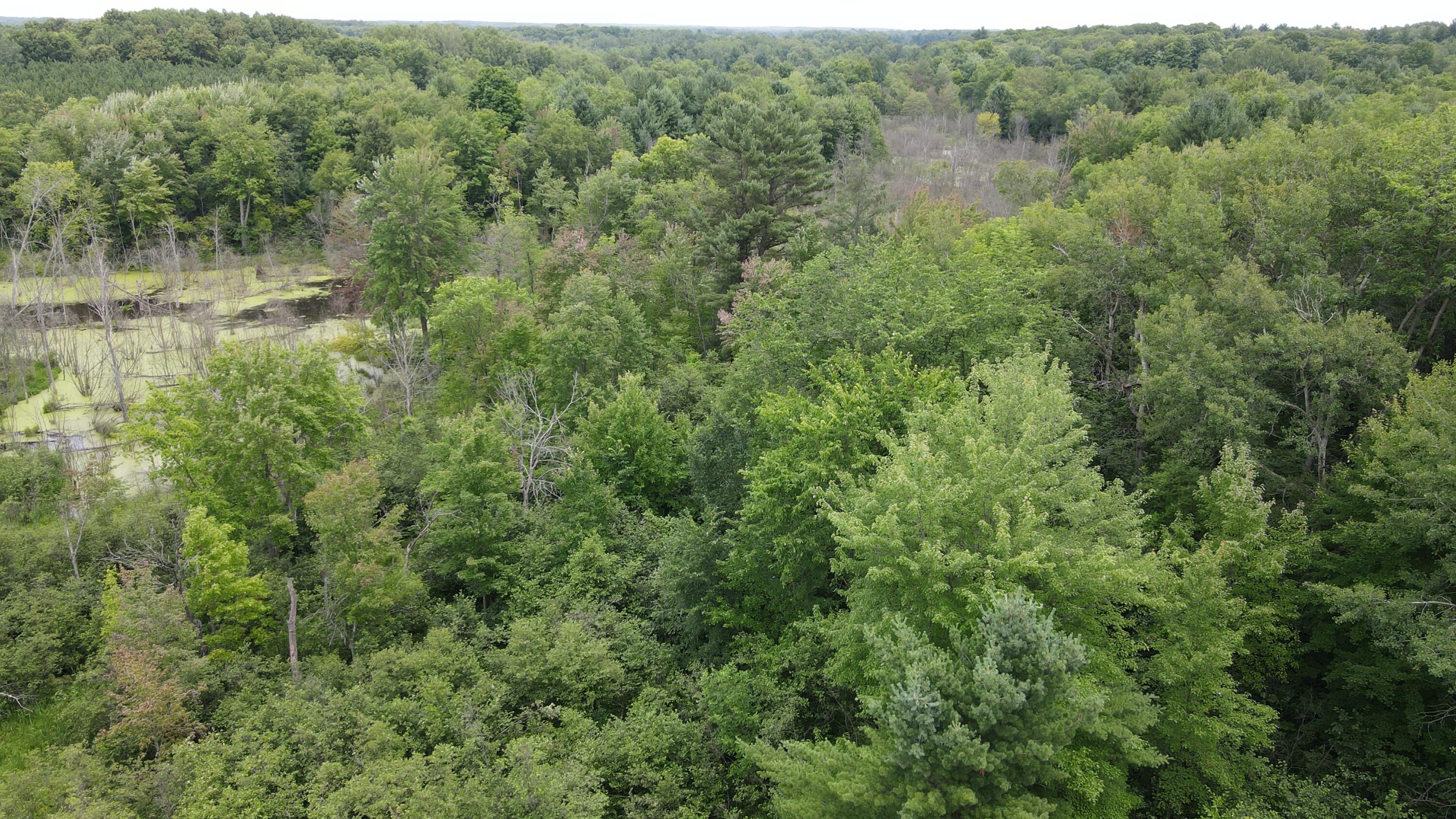 16822 7 Mile Road Stanwood, MI 49346 - Photo 54 of 62 DJI_0540