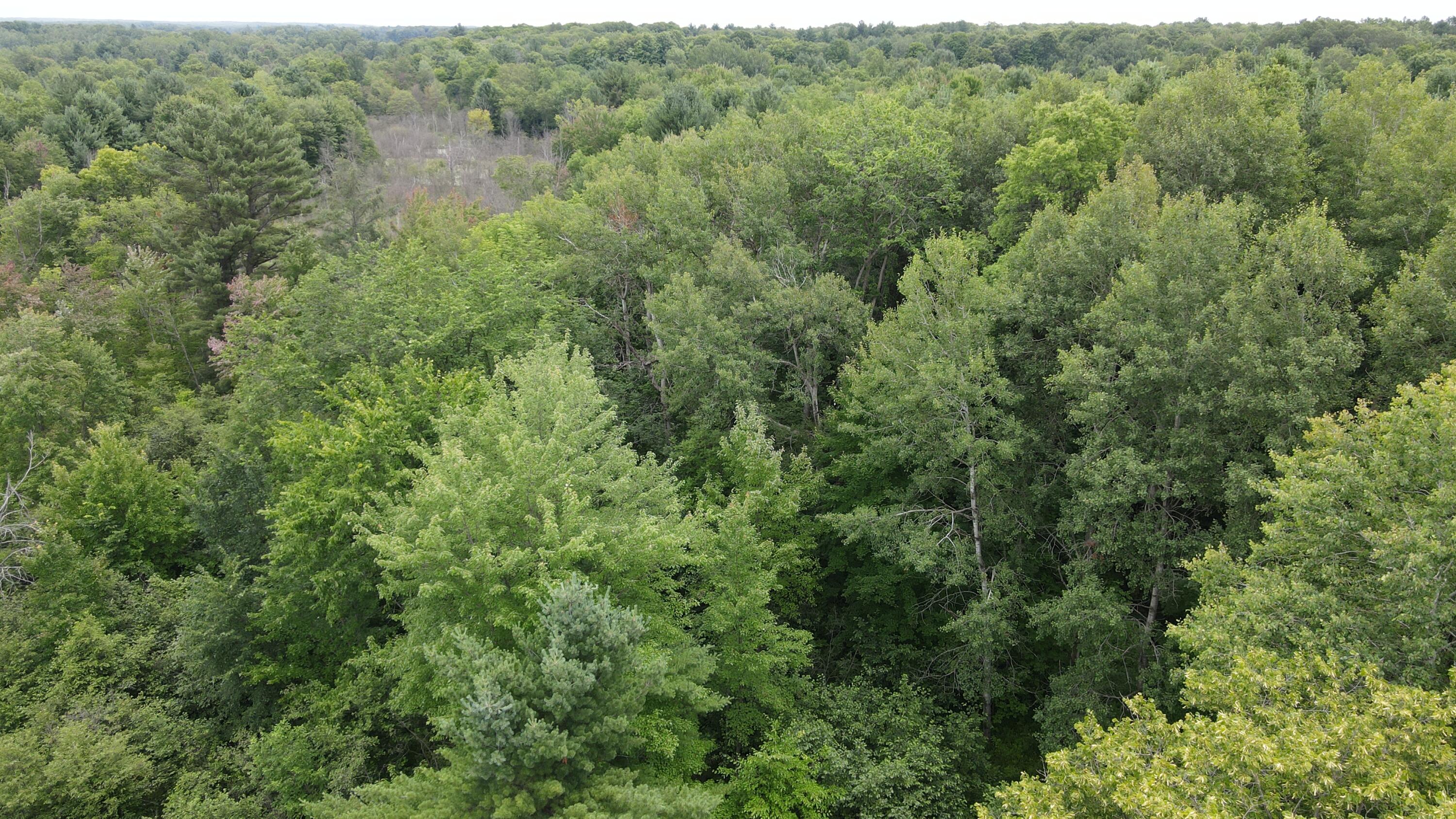 16822 7 Mile Road Stanwood, MI 49346 - Photo 55 of 62 DJI_0541