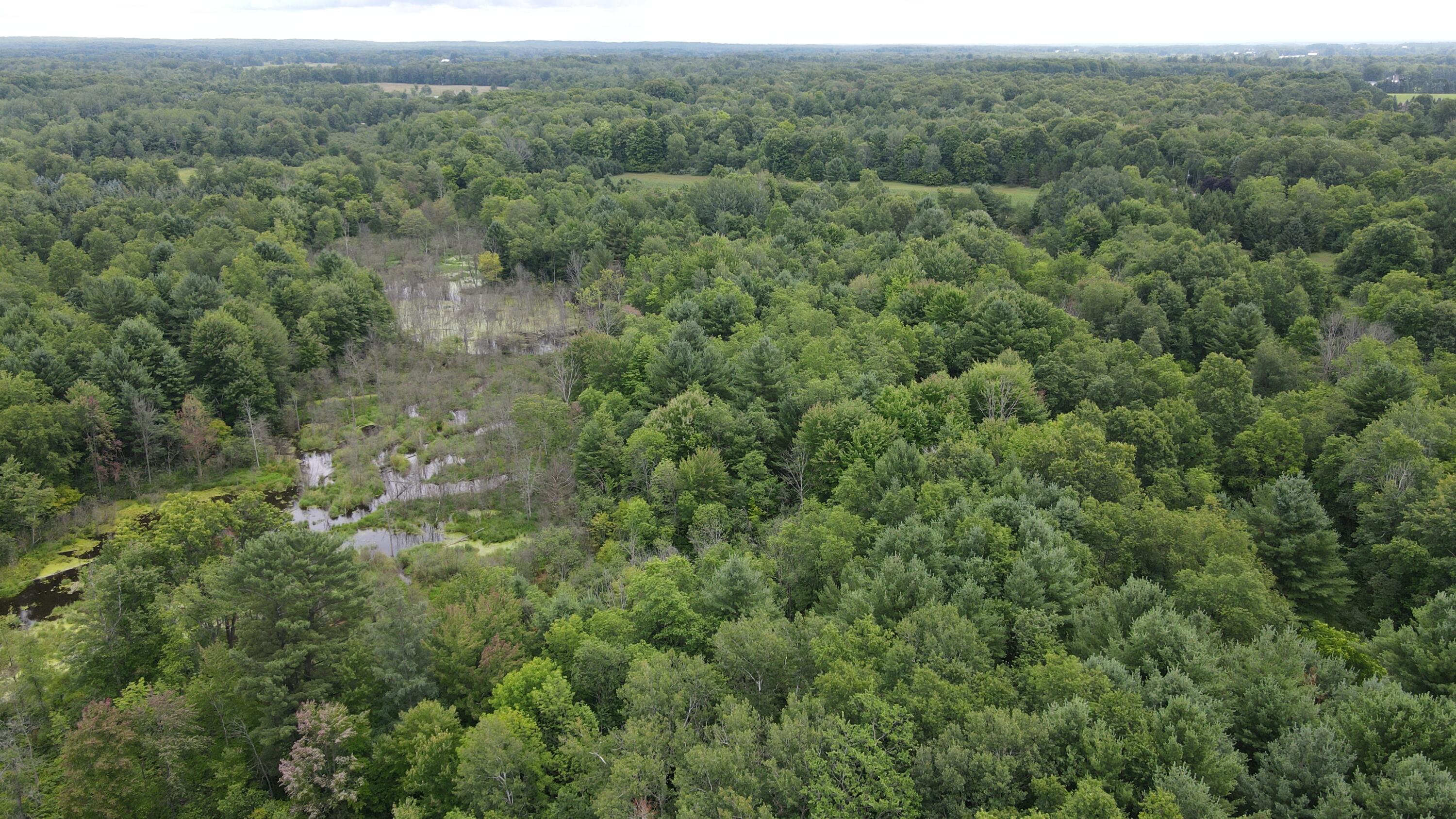 16822 7 Mile Road Stanwood, MI 49346 - Photo 56 of 62 DJI_0542