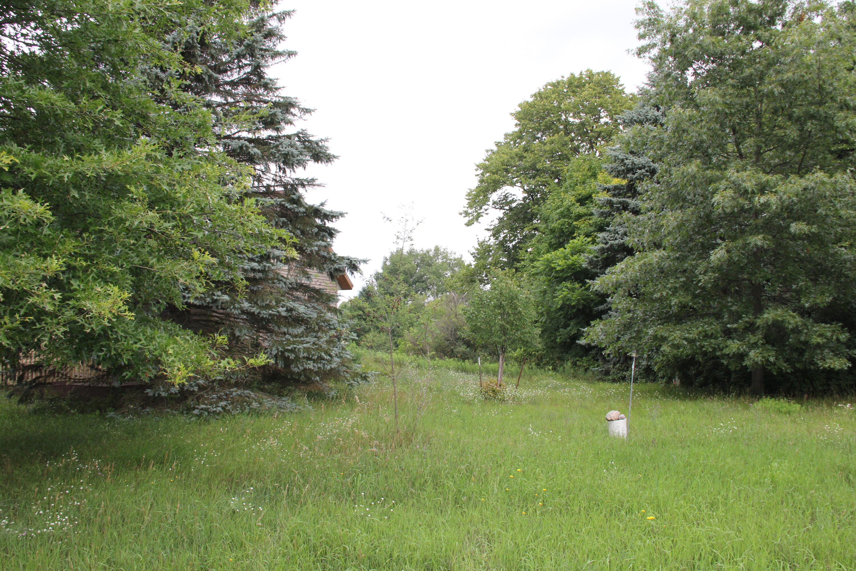 16822 7 Mile Road Stanwood, MI 49346 - Photo 59 of 62 IMG_2369