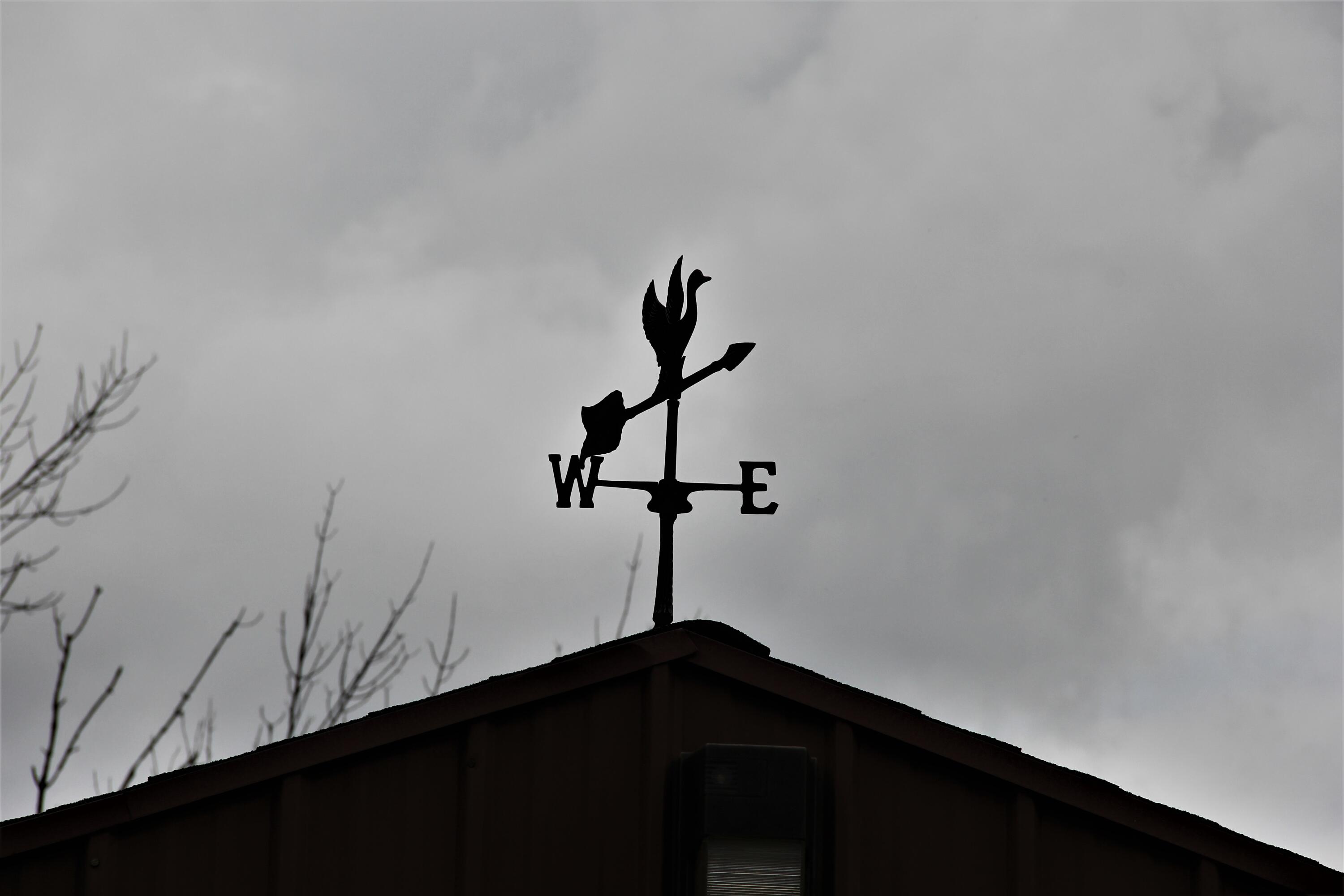 16822 7 Mile Road Stanwood, MI 49346 - Photo 62 of 62 IMG_2365