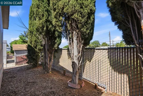 a view of a yard with a tree