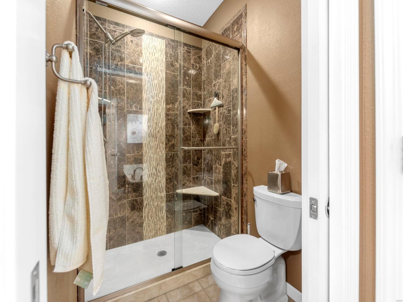 202 Country Ridge Columbia, IL 62236 - Photo 24 of 44