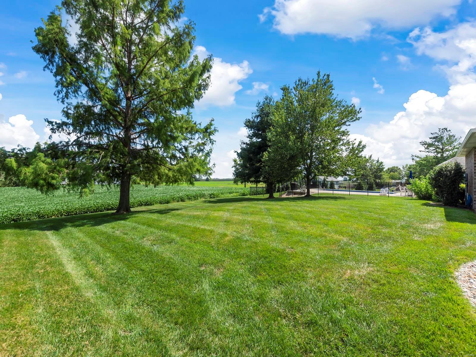 202 Country Ridge Columbia, IL 62236 - Photo 9 of 44