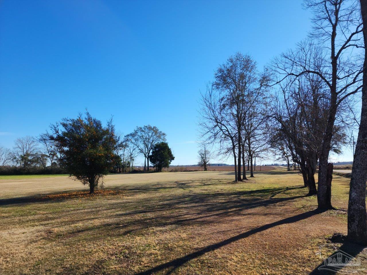 4185 Bellfork Road Atmore, AL 36502 - Photo 4 of 47