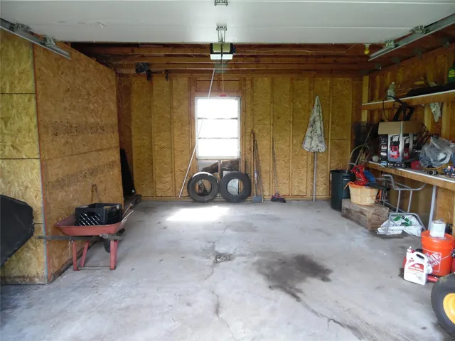 a view of a yard with plants and large trees