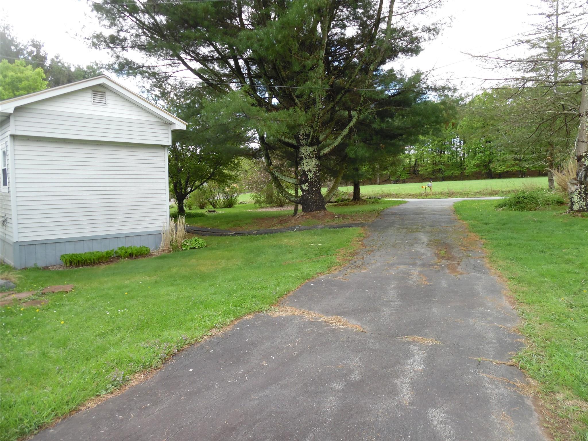 8 Crumley Van Vactor Road Ferndale, NY 12734 - Photo 24 of 24 a view of a yard with plants and large trees