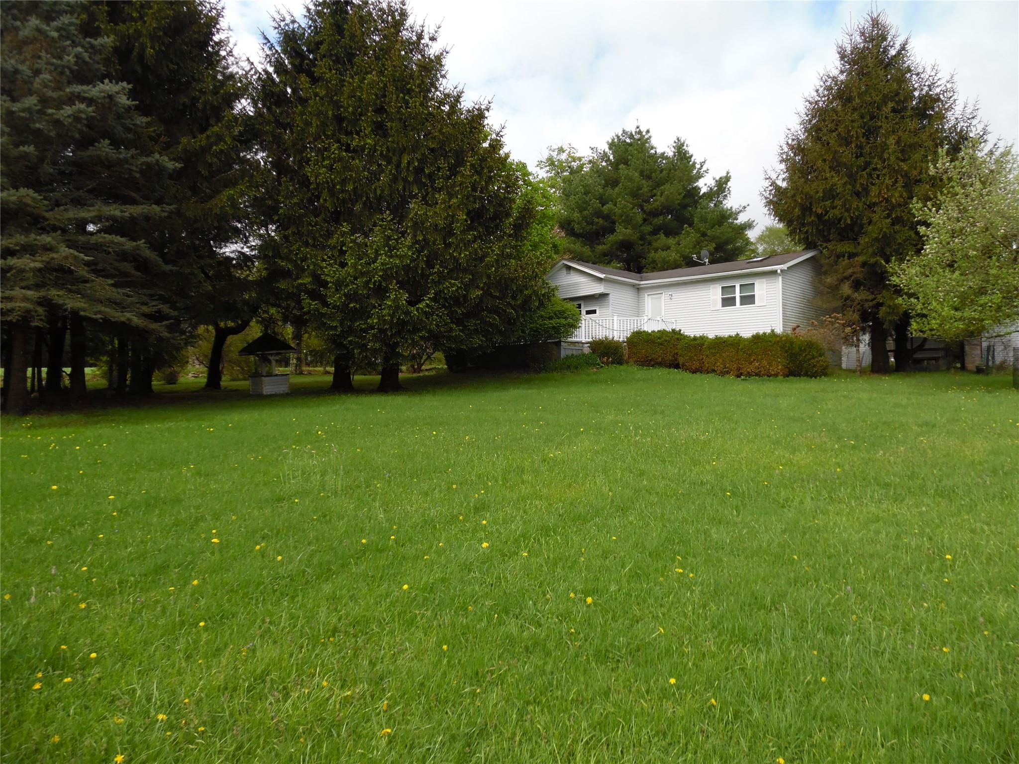 8 Crumley Van Vactor Road Ferndale, NY 12734 - Photo 3 of 24 a view of a big yard with plants and large trees