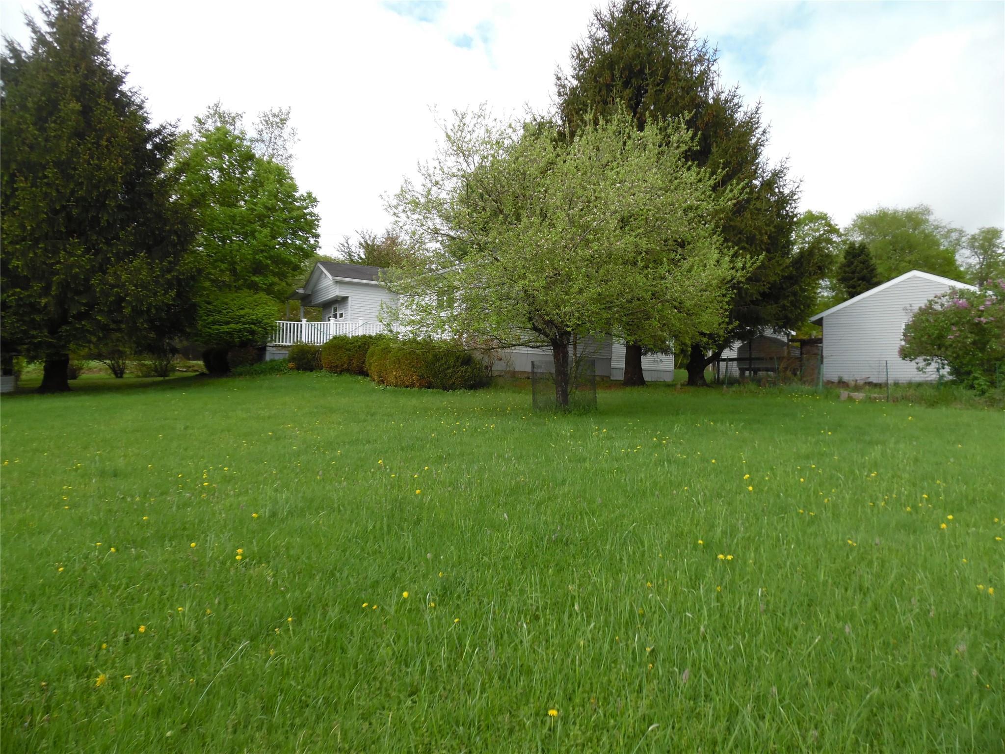 8 Crumley Van Vactor Road Ferndale, NY 12734 - Photo 4 of 24 a view of a field of grass and trees
