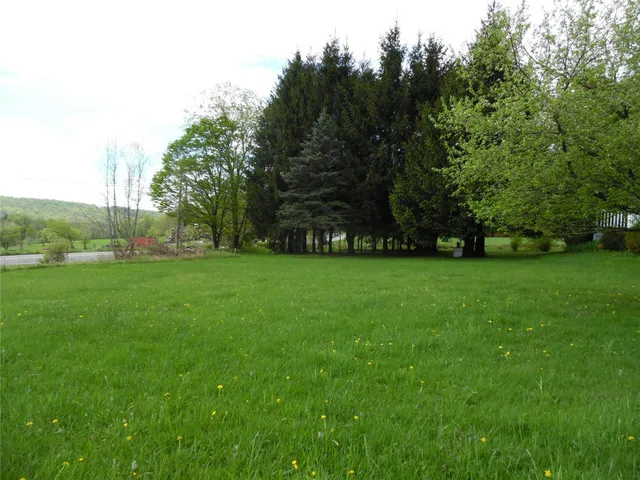 a view of green field with trees in the background