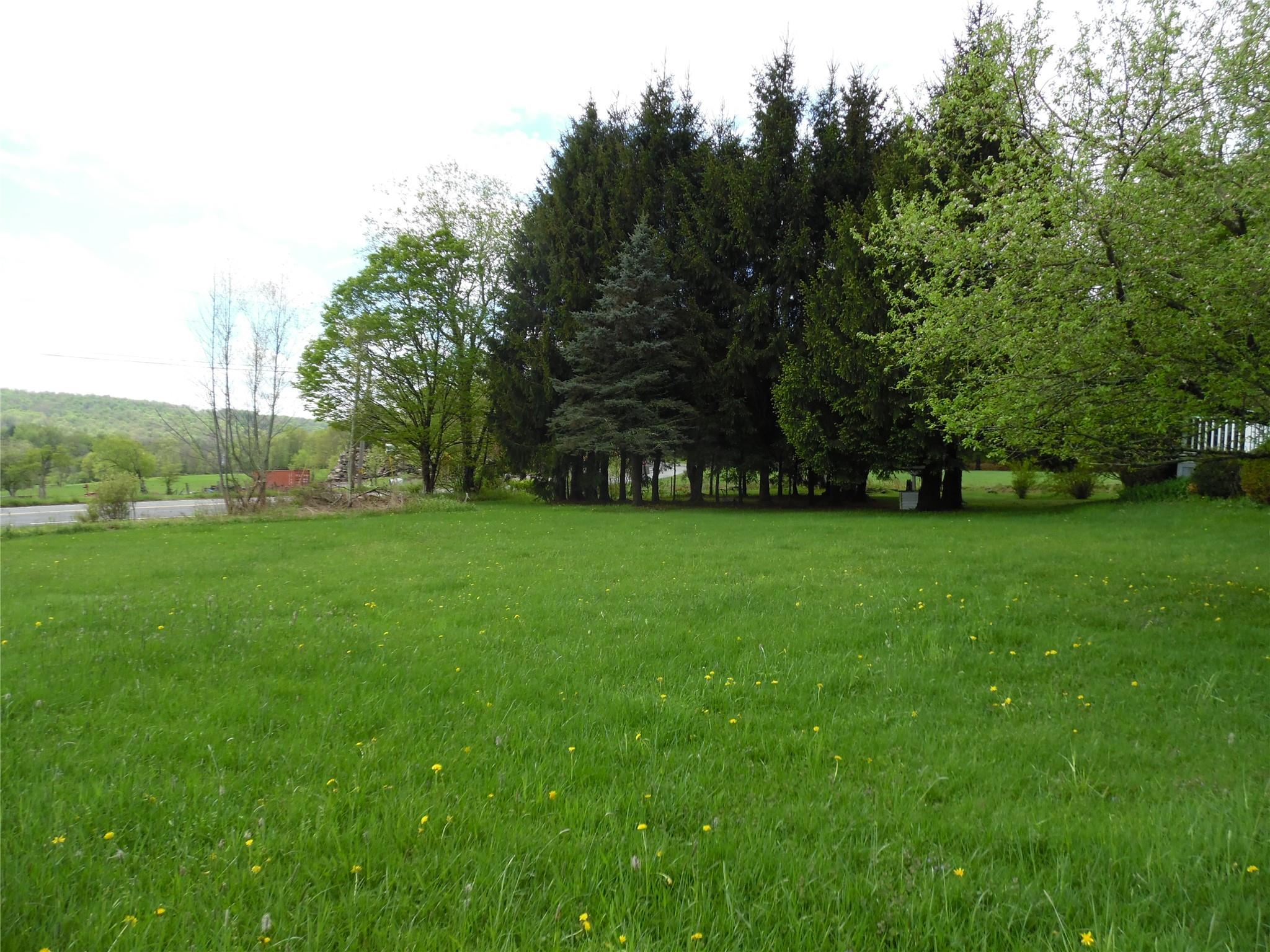 8 Crumley Van Vactor Road Ferndale, NY 12734 - Photo 5 of 24 a view of green field with trees in the background