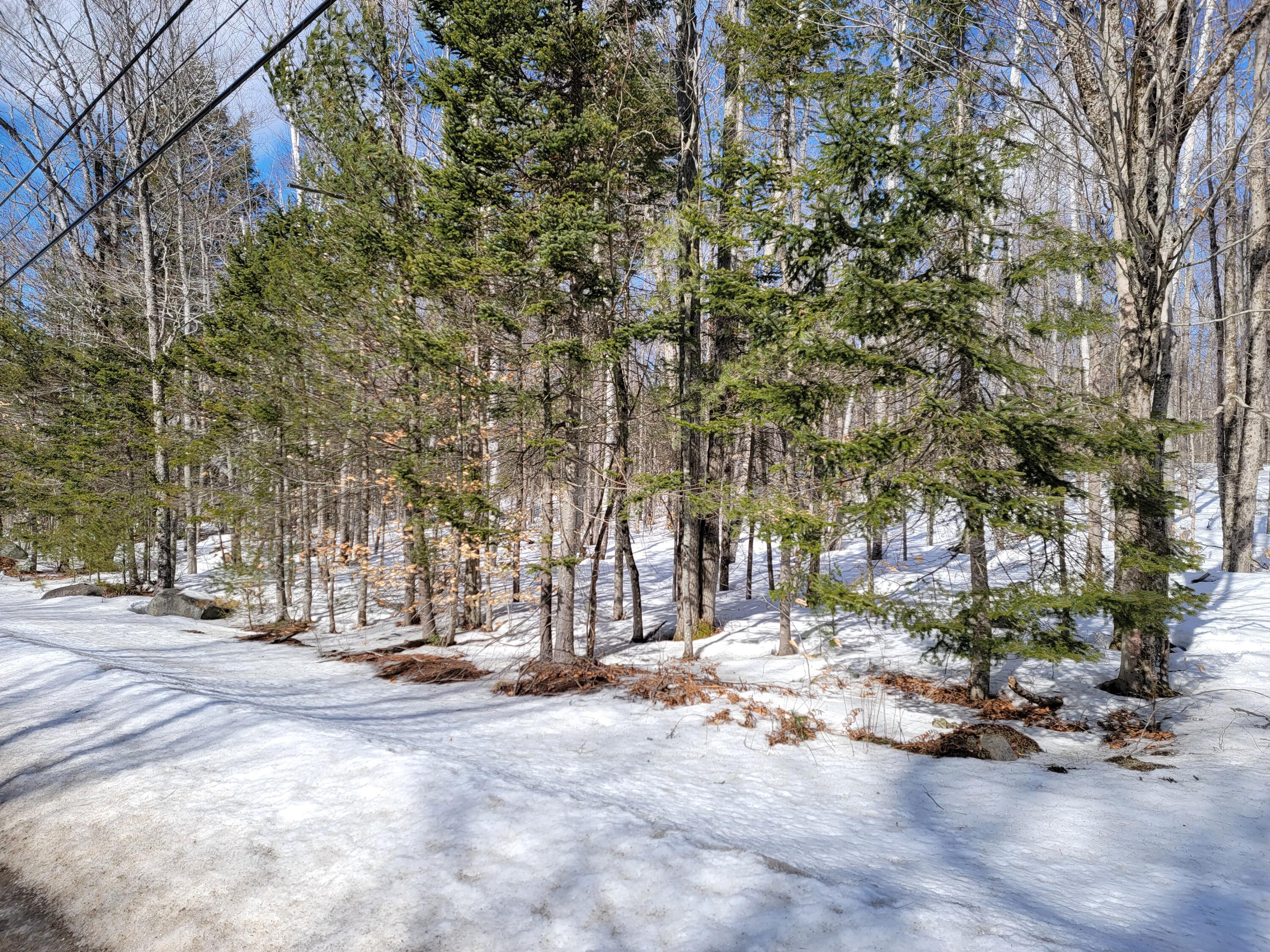 M3-l8a Roxbury Notch Road Roxbury, ME 04275 - Photo 26 of 37 Roxbury Notch Lot 8A