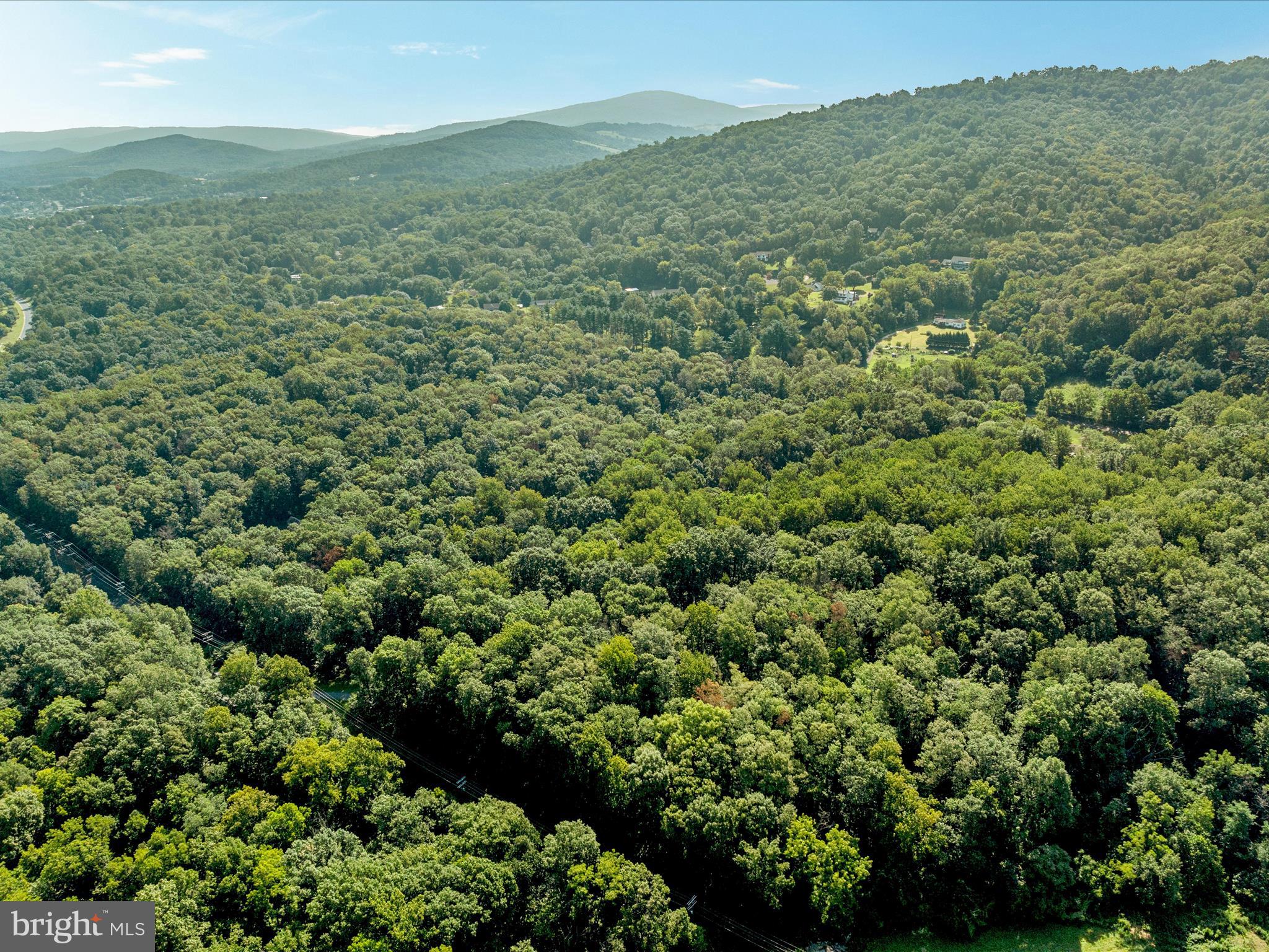 Browntown Road Front Royal, VA 22630 - Photo 11 of 16 a view of a green field with lots of bushes