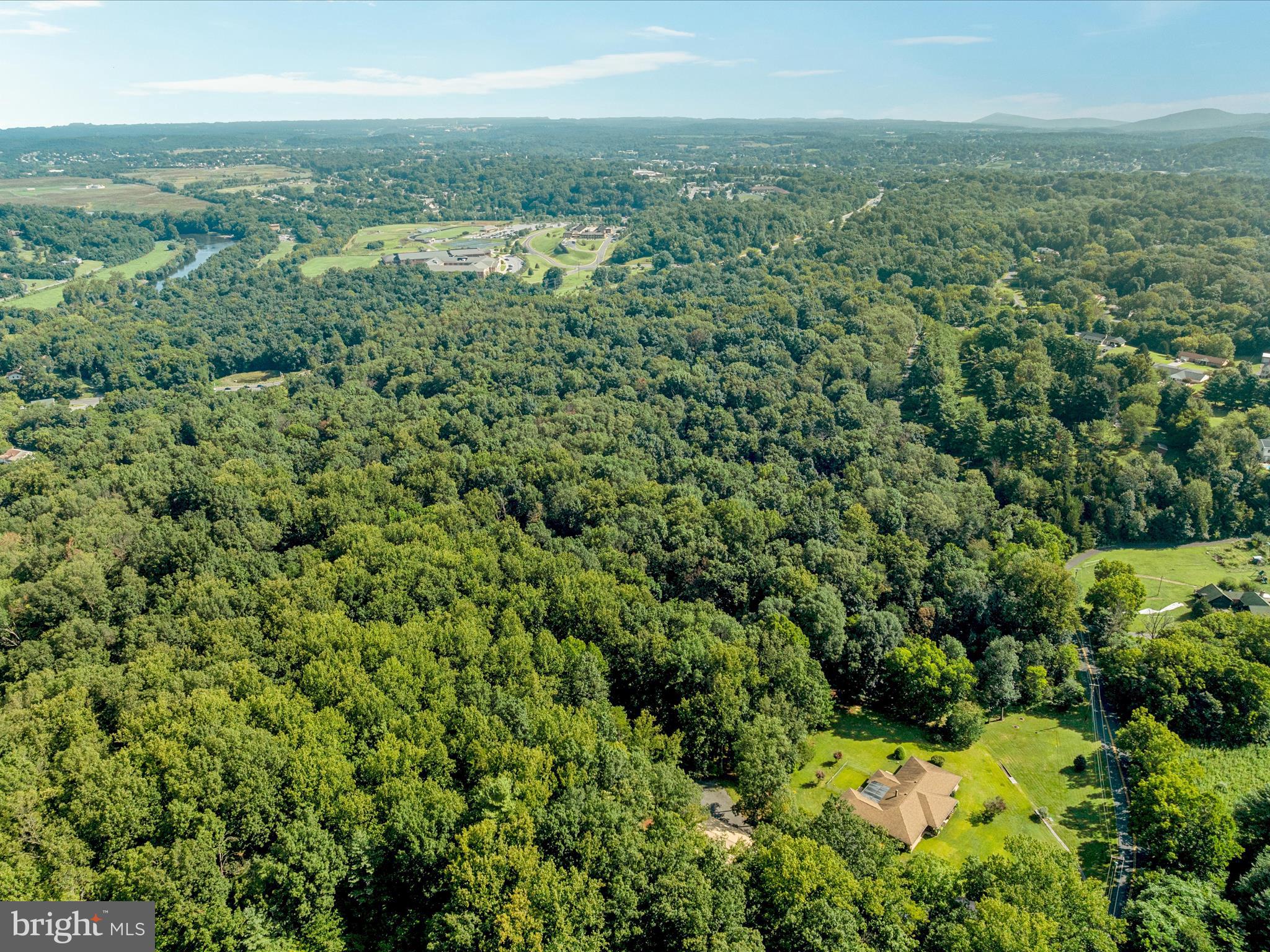 Browntown Road Front Royal, VA 22630 - Photo 12 of 16 a view of a green field with lots of bushes
