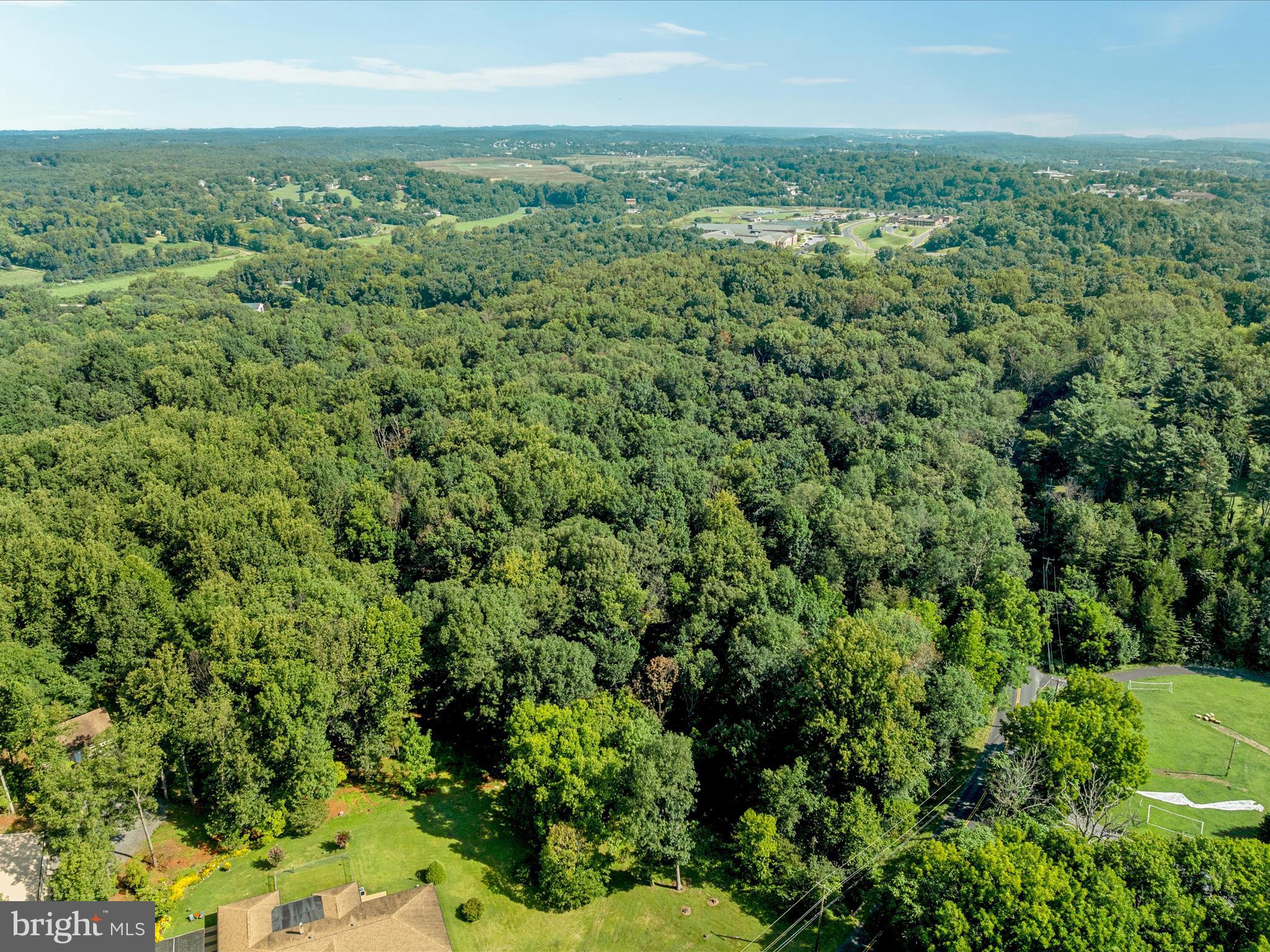 Browntown Road Front Royal, VA 22630 - Photo 13 of 16 an aerial view of residential houses with outdoor space and trees
