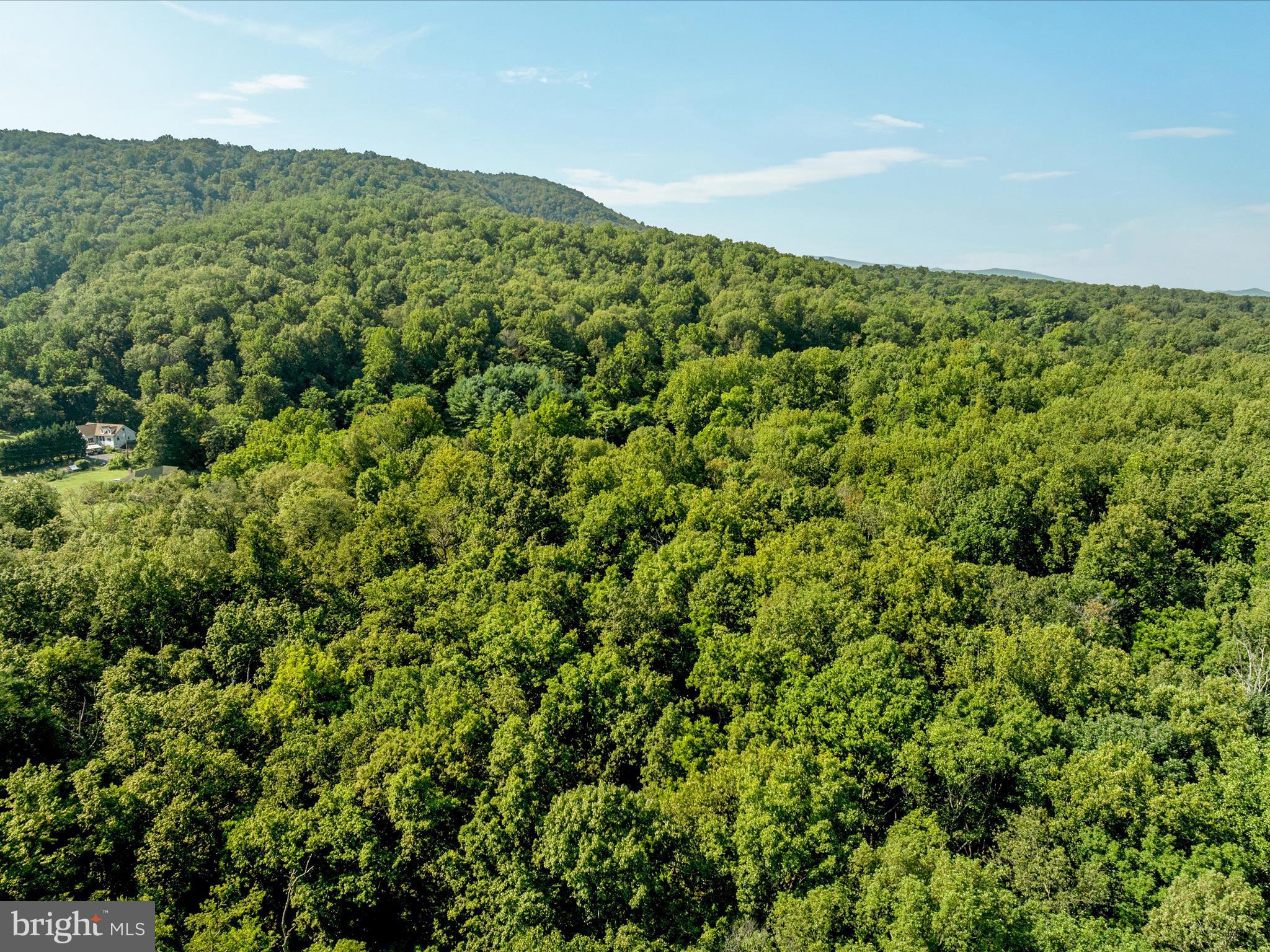 Browntown Road Front Royal, VA 22630 - Photo 14 of 16 a view of a green field with lots of bushes