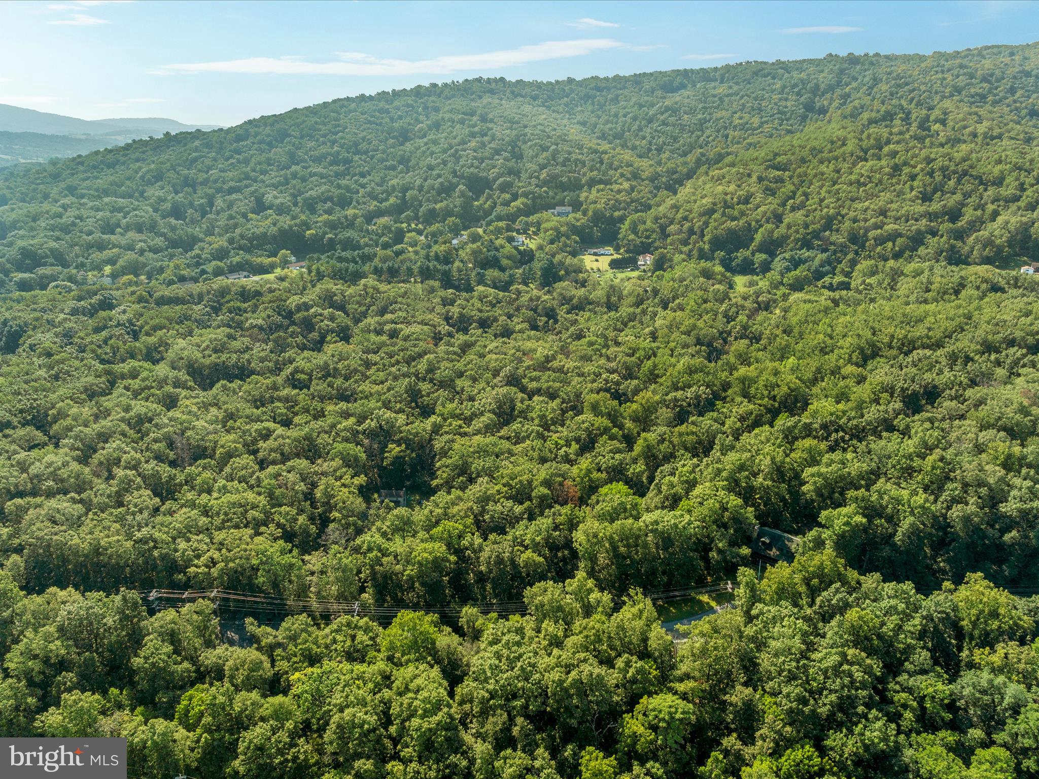 Browntown Road Front Royal, VA 22630 - Photo 9 of 16 a view of a green field with lots of bushes