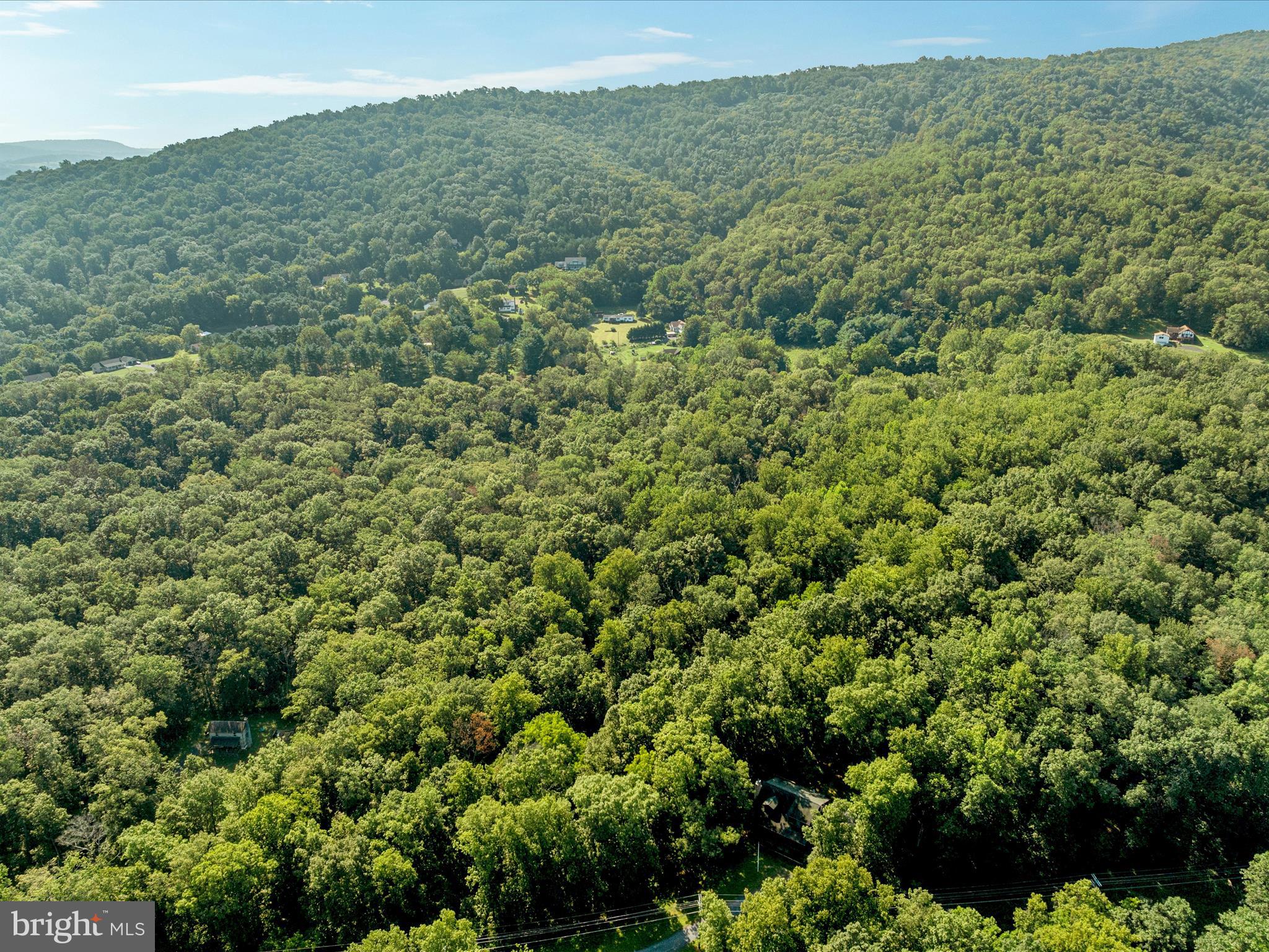 Browntown Road Front Royal, VA 22630 - Photo 10 of 16 a view of a green field with lots of bushes