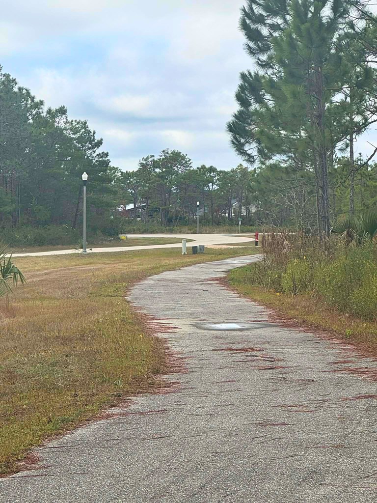 396 Ridgecrest Parkway Eastpoint, FL 32328 - Photo 4 of 5